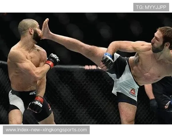 UFC回旋踢击中锁定胜利