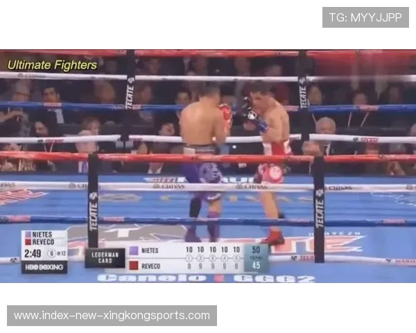 MMA赛事制度完善提升职业化水平