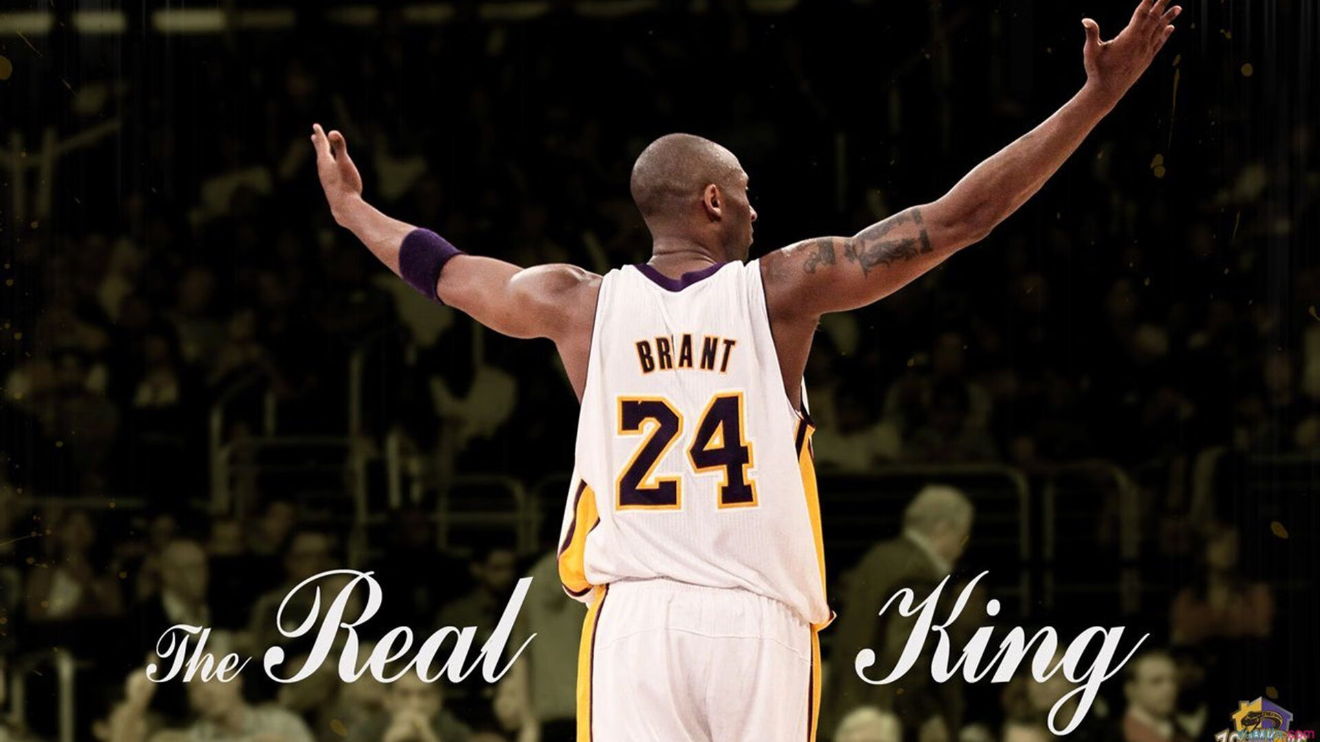 2026年世界马术障碍世界杯年终总决赛 德国名将再捧银杯